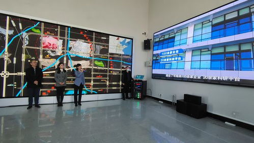 东昌府区高质量发展观摩 以应用服务业撬动区域经济新引擎